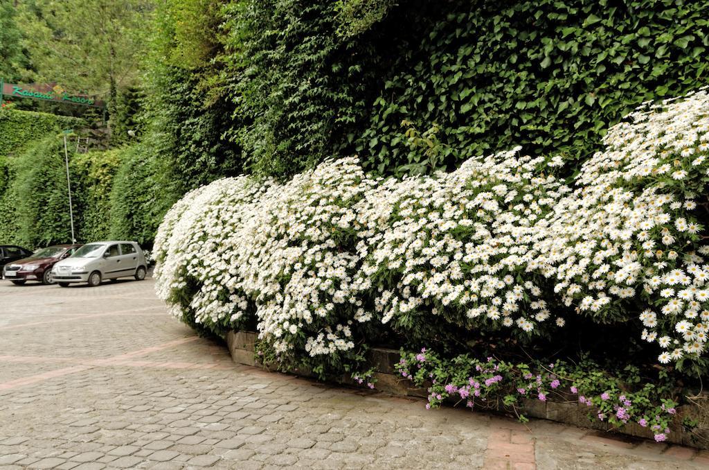 Kasauli Resort By Piccadily Extérieur photo