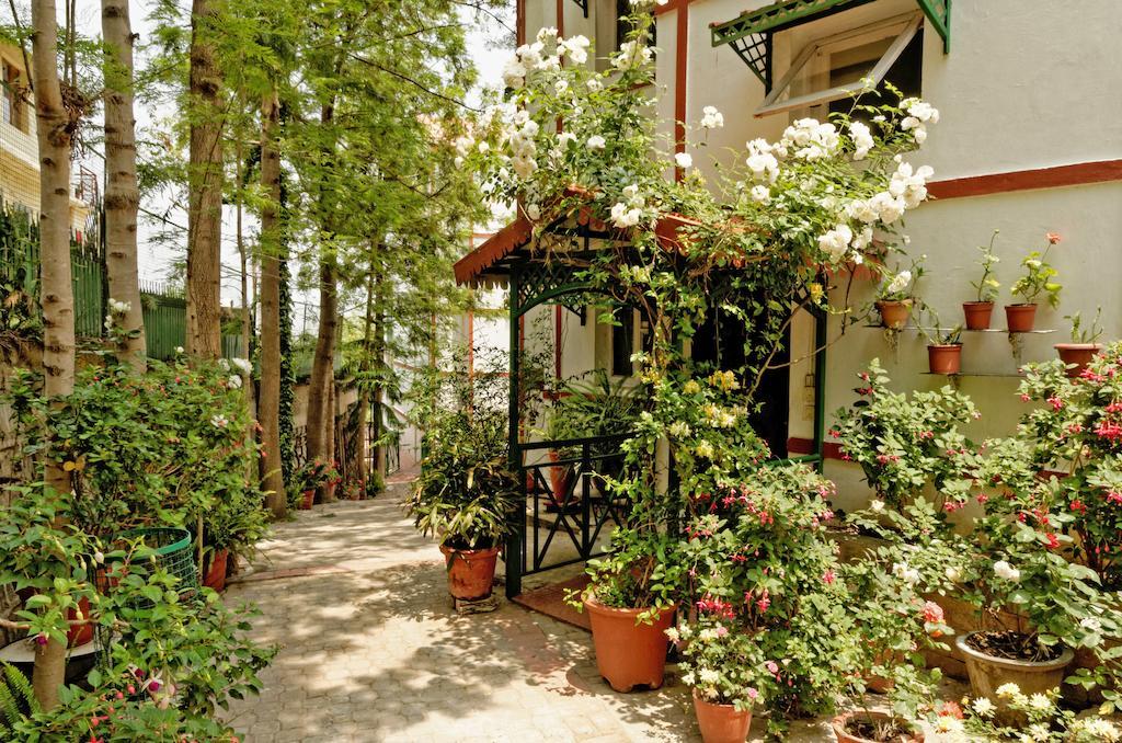 Kasauli Resort By Piccadily Extérieur photo